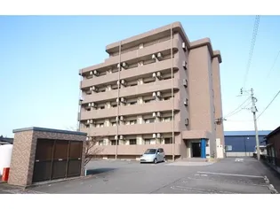 ベゼルファセットの画像