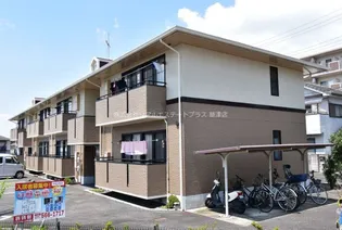 アゼリアセタの画像