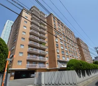 南青山第一マンションズの画像