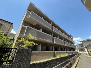 サクセス若葉【3階】の外観