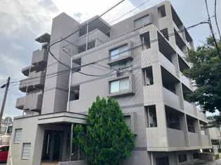 プレファランス鷹師の画像