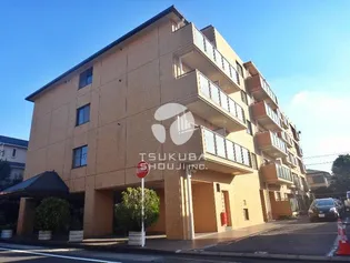 サリシャン市川【5階】の外観