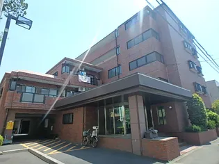 エクロール蓮根の画像