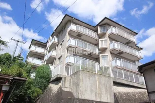桔梗が丘青山ハイツの画像