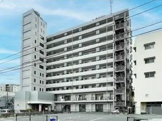 シャルネ95の画像