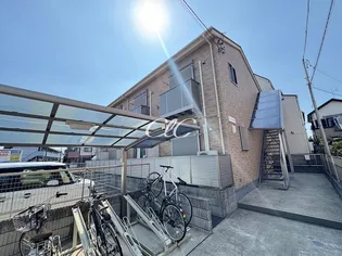 エバーグリーンの画像