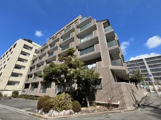 コリーンベルデの画像