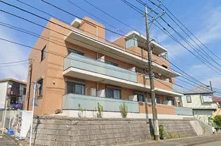 SKY GREENの画像