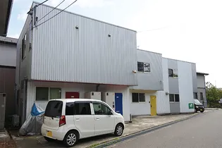 ステラYMの画像