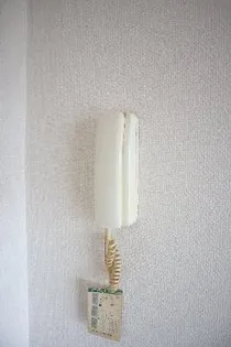 Avance61【7階】の内装