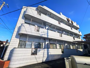 ジョンソンの画像