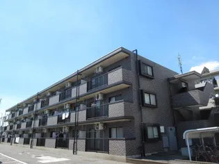 パオ ヤマニシの画像