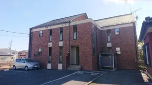 エクセランの画像