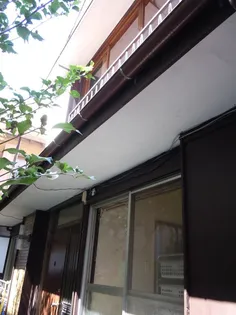 神奈川県川崎市川崎区渡田向町【一戸建】の外観