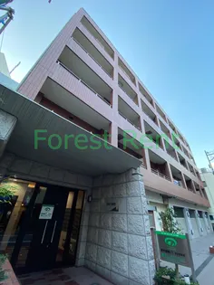 スターハイムの画像