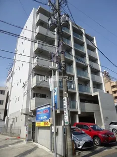 ホワイト ウィステリアの画像