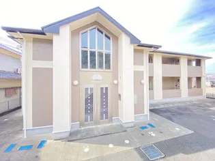 プラシードUの画像