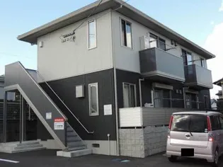 イベリスの画像