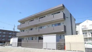 ジェルソミーノの画像