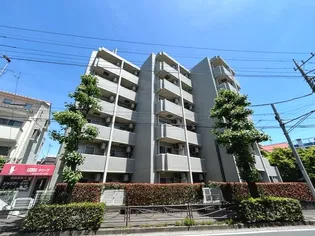 オリーブフォレストの画像