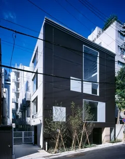 GRAVAの画像