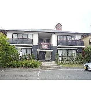 モトムスの画像