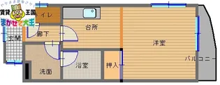 モンパルト万屋【6階】の間取り