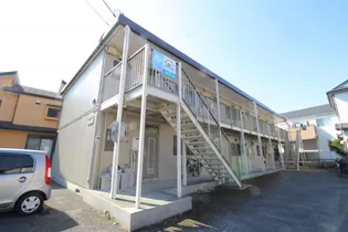 アプリコットの画像