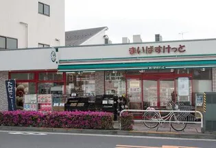 パークキューブ大井町レジデンス【7階】の周辺
