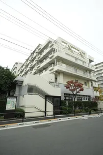 UR新蓮根の画像