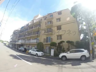 ノバカネイチ中津の画像