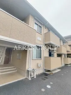 プラシードの画像