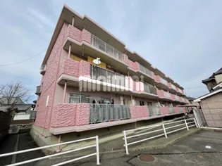 エストゥペンダの画像