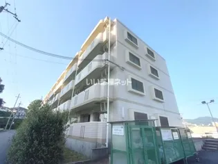 ユーミーSAKAEの画像