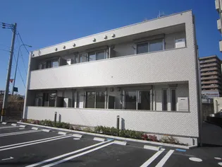 ティフブルーの画像