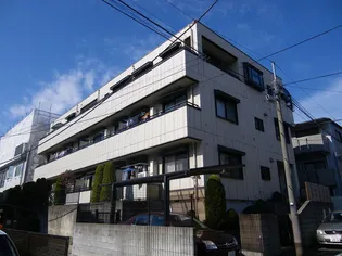 パリセード メサの画像