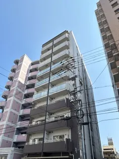 SUNFLOWERの画像