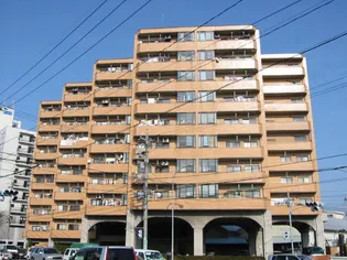 ダイアパレス泉本町【6階】の外観