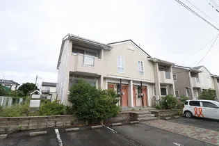 カメリアAの画像