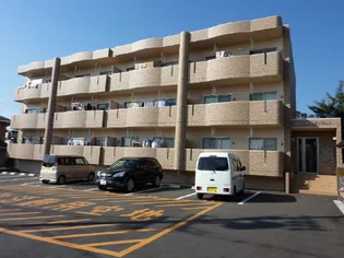 シャンデテ西三田ヶ入の画像