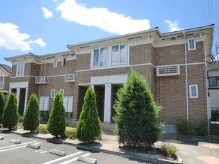 ミミヤヒル Bの画像