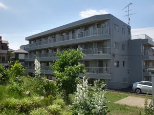 フィールドグレイの画像