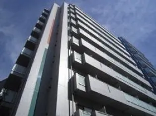 DORMOUSE FINEの画像