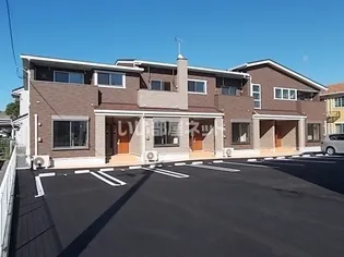 プラシード Bの画像