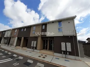 フェリスの画像