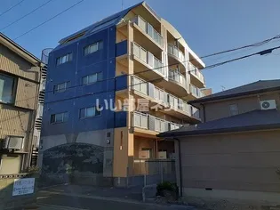ウェーブ28の画像