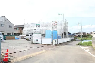 リリーの画像