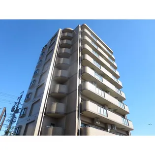 ビューパレス新生【9階】の外観