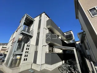 GRACE HILLSの画像