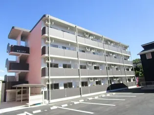 鹿児島県鹿児島市唐湊2【マンション】の外観